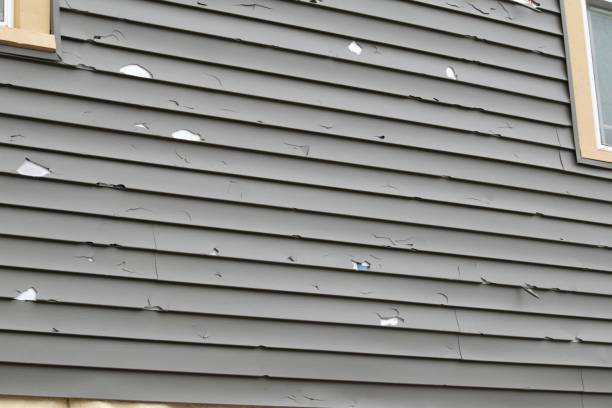 Best Fascia and Soffit Installation  in Cedarburg, WI